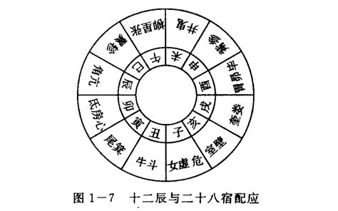 天干地支 2024|2024甲辰年流年天干地支详解